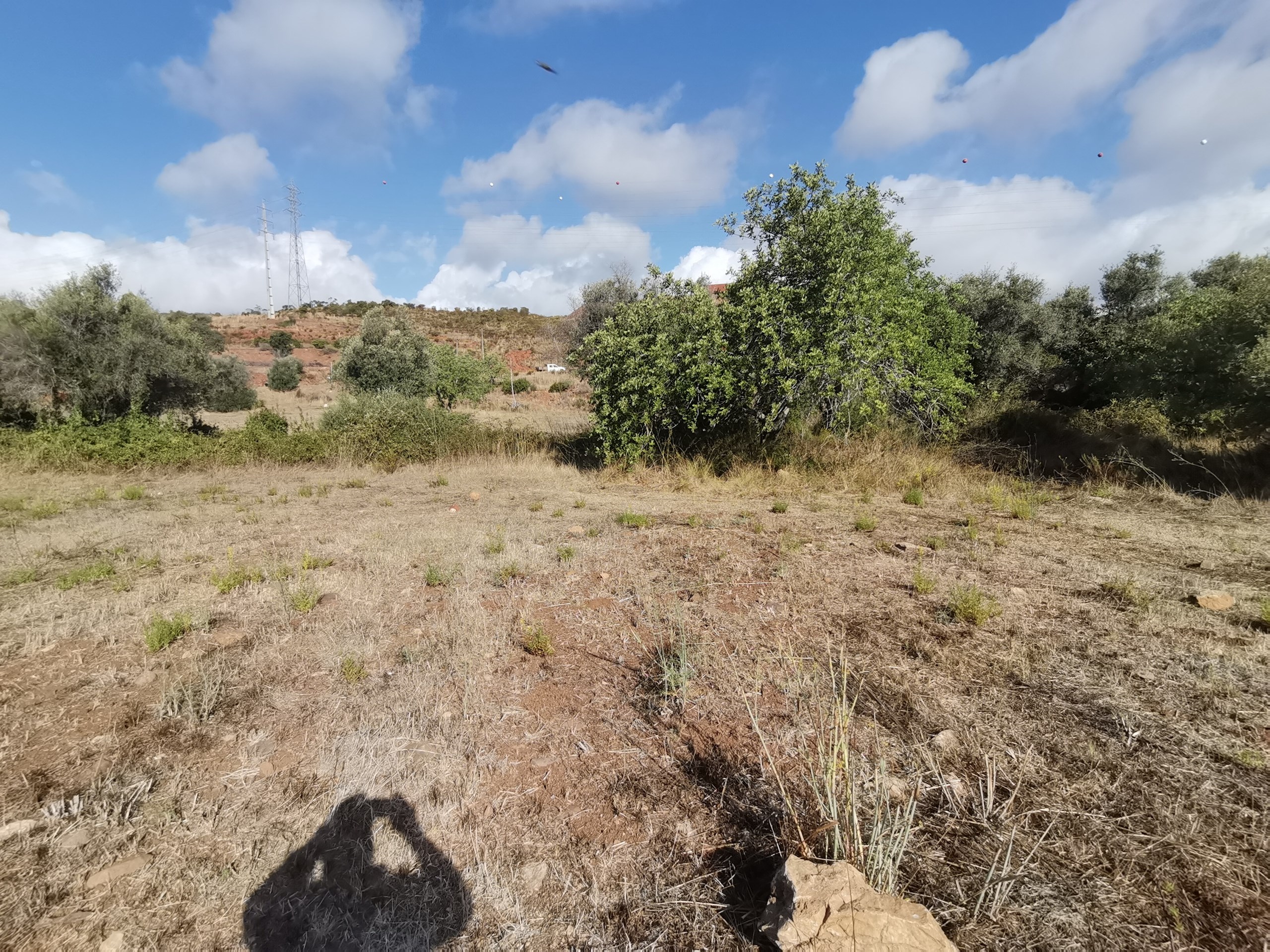 Land, For Sale